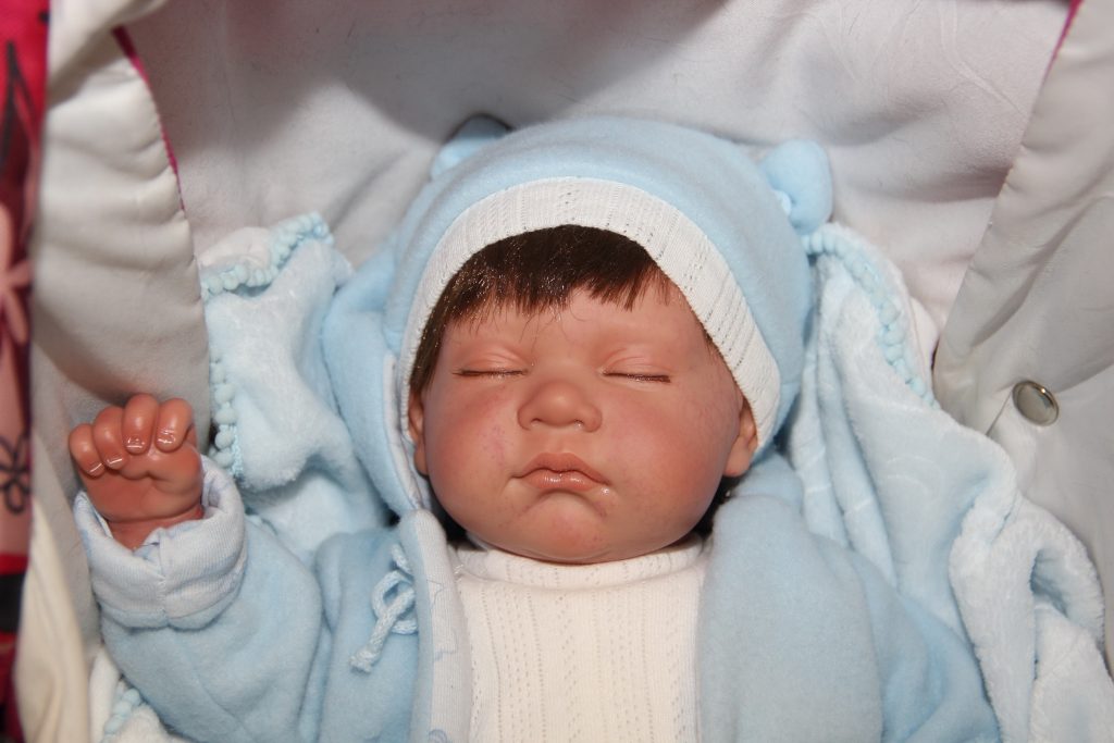 IMG_8784_новый-размер-1024x683