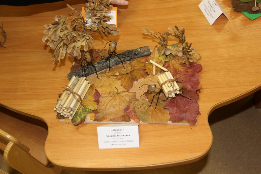 IMG_8800_новый-размер-1024x683