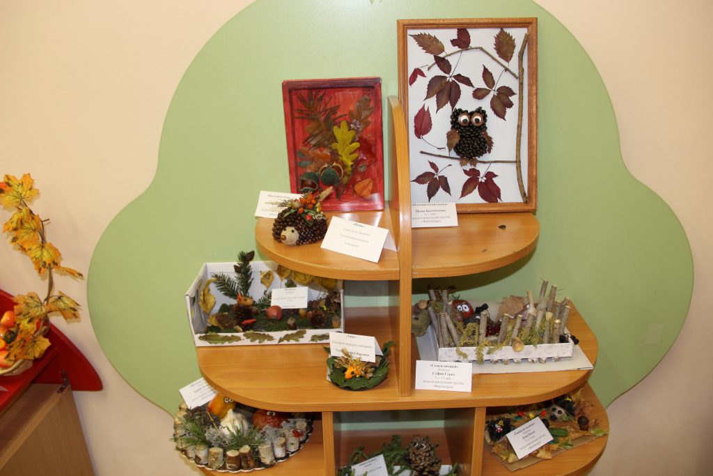 IMG_8805_новый-размер-1024x683