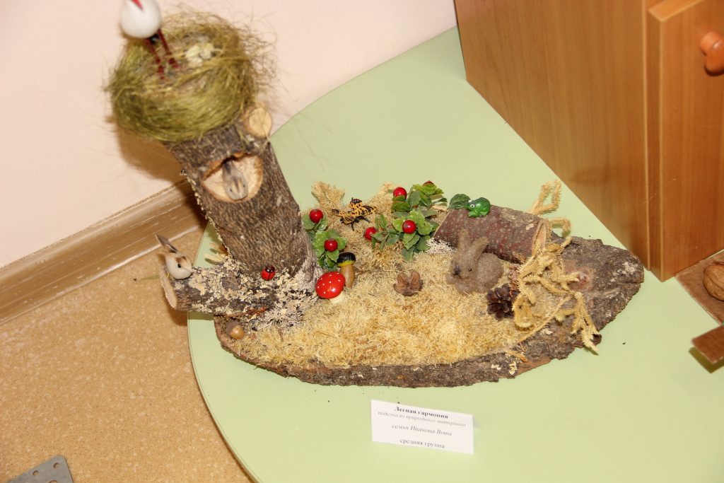 IMG_8812_новый-размер-1024x683