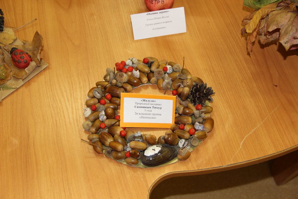 IMG_8831_новый-размер-1024x683